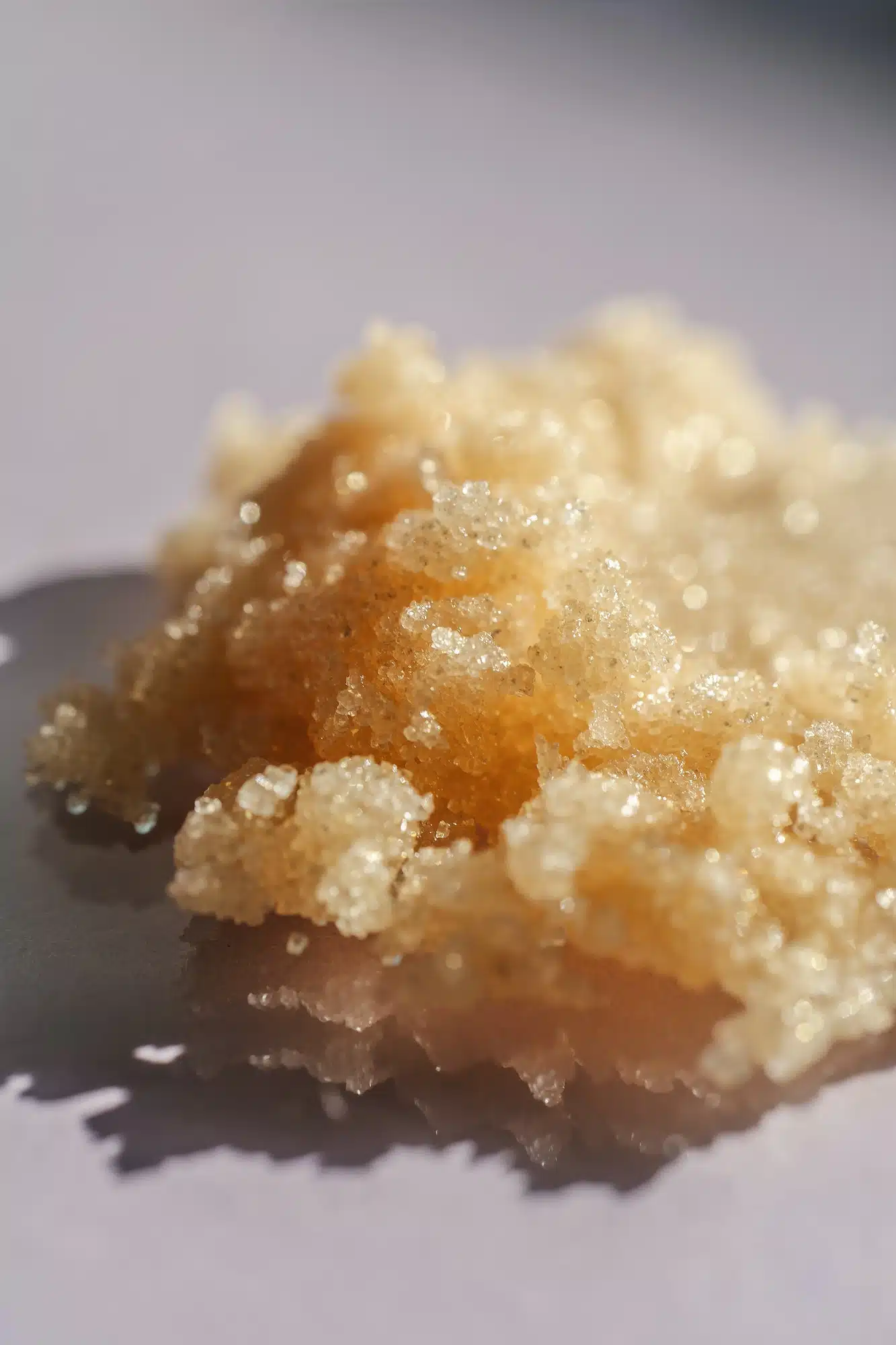 The texture of a shining scrub close-up.