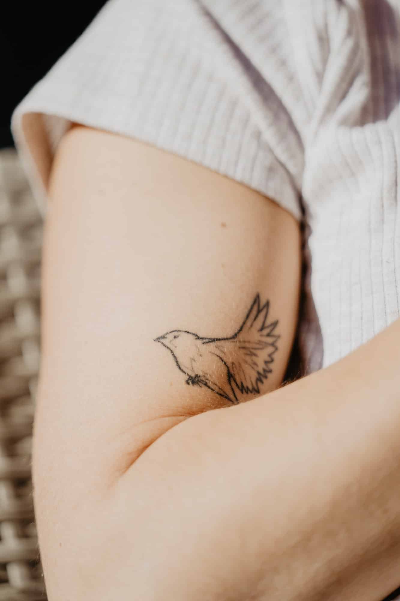 Bird tattoo on arm