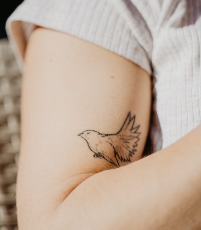 Bird tattoo on arm