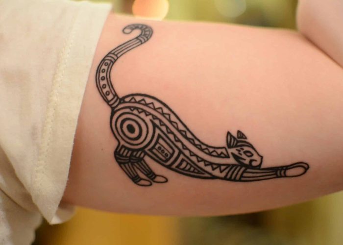 Stretching Cat Tattoo Design on arm