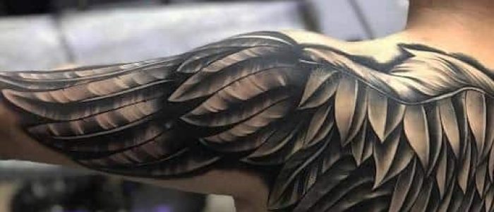 shoulder blackgrey wings tattoo, Small Tattoo, bird sleeve tattoo for men