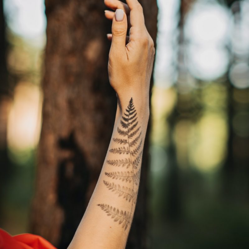 Woman with fern tattoo hugging trees and enjoying nature in the pine forest.